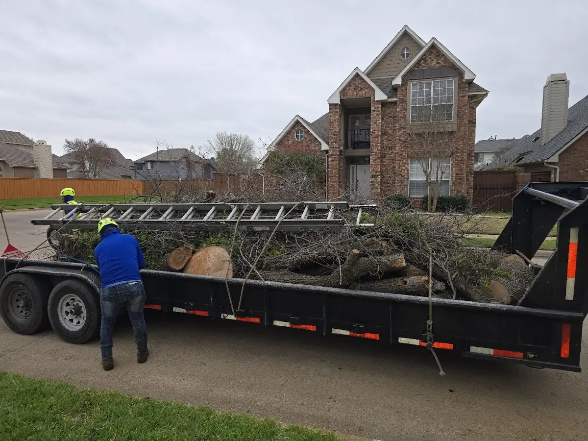 Expert Tree Fertilization with proper safety equipment in Stockertown